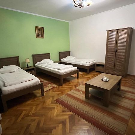 Făgăraş Pensiunea Diana酒店 外观 照片