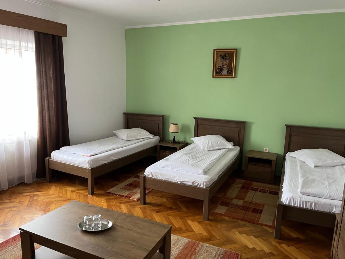 Făgăraş Pensiunea Diana酒店 外观 照片