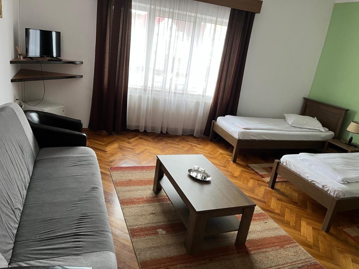 Făgăraş Pensiunea Diana酒店 外观 照片